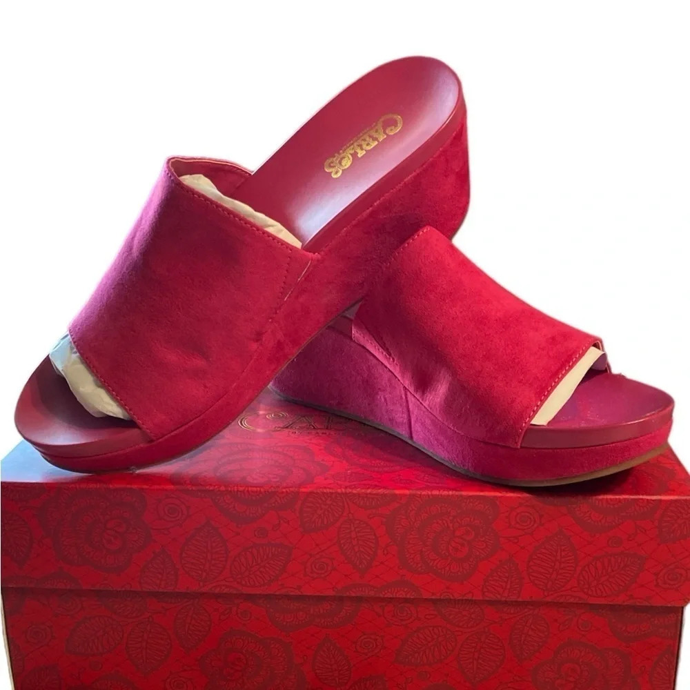 Carlos Santana slide wedges​
